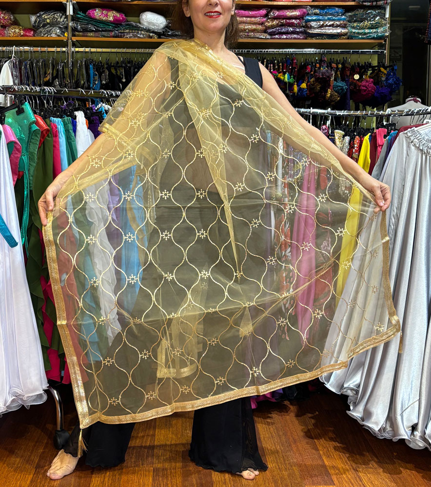 dupatta-bollywood-dorado-3 dupatta-bollywood-dorado-3
